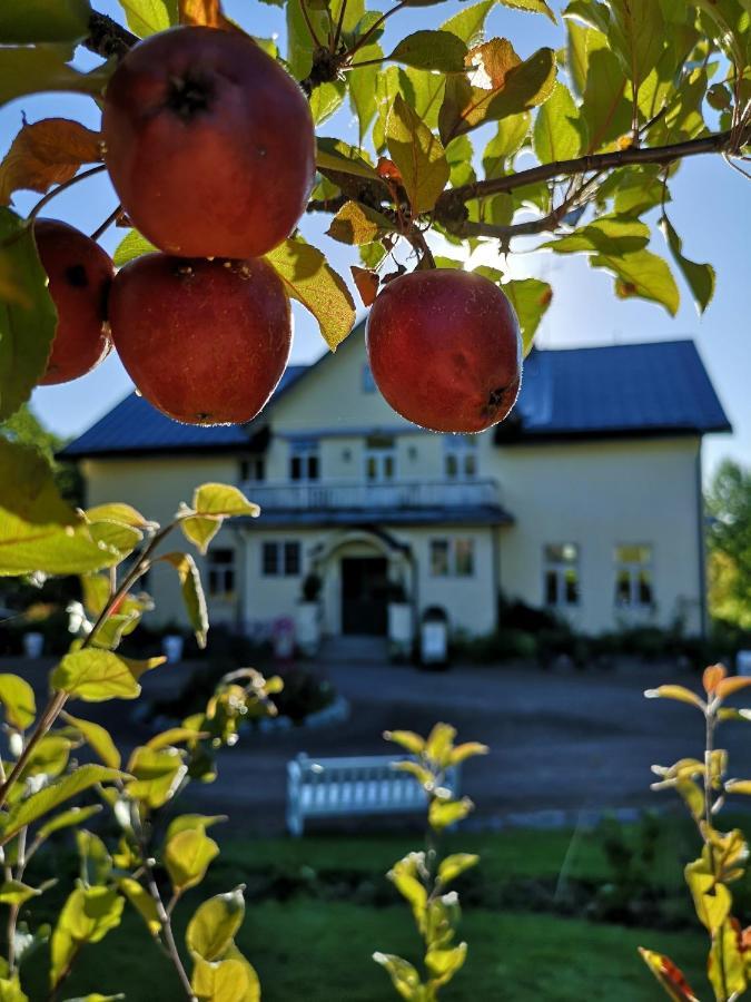 Disponentparken Cafe Och Bed & Breakfast Grängesberg Kültér fotó