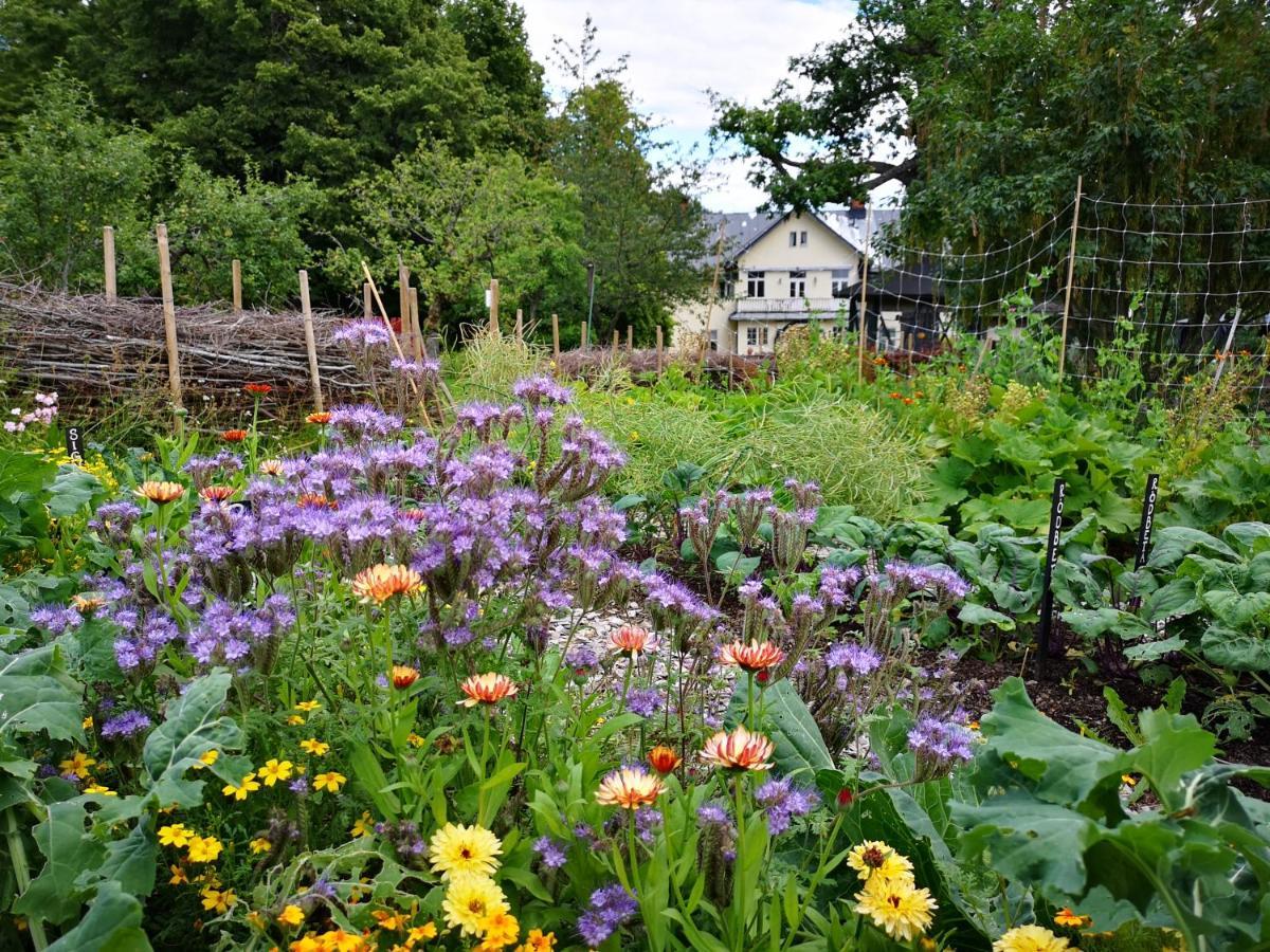 Disponentparken Cafe Och Bed & Breakfast Grängesberg Kültér fotó
